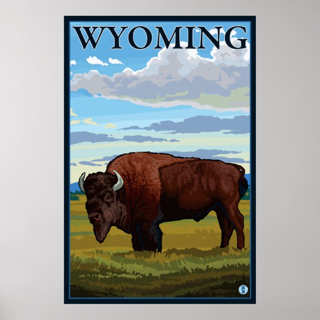 Bison Scene - Wyoming Poster (Vorne)