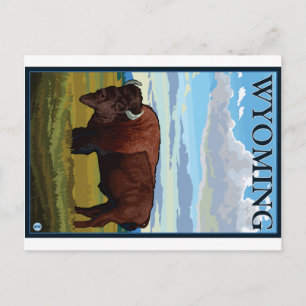 Bison Scene - Wyoming Postkarte
