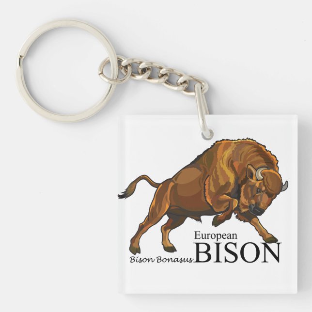 Bison Schlüsselanhänger (Vorderseite)