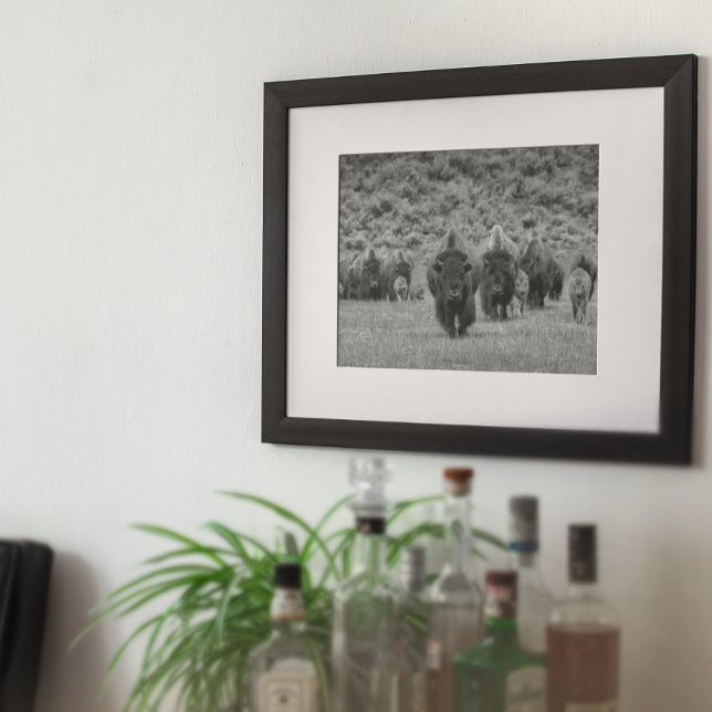 Bison Schwarz-weiß Cabin Farmhouse Style Moderne Poster (Von Creator hochgeladen)