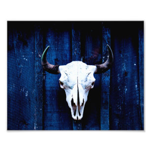 Bison Skull Fotodruck