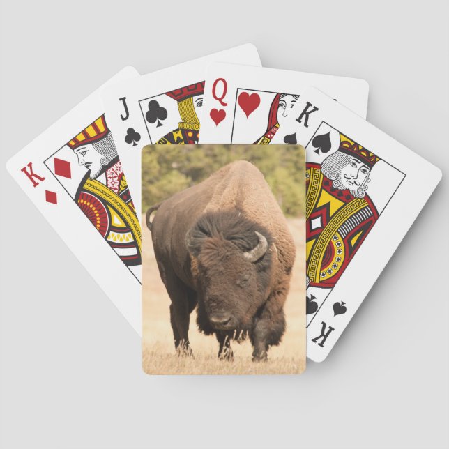 Bison Spielkarten (Rückseite)