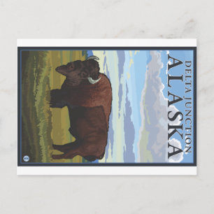 Bison-Szene - Delta Junction, Alaska Postkarte