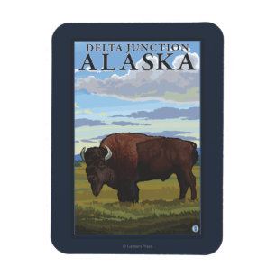 Bison-Szene - Deltakreuzung, Alaska Magnet