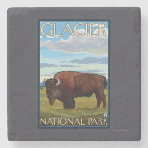 Bison-Szene - Glacier Nationalpark, M.Ü. Steinuntersetzer