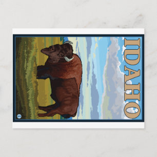Bison-Szene - Idaho Postkarte