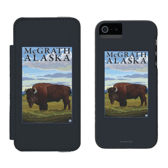 Bison-Szene - McGrath, Alaska Incipio iPhone Geldbeutel-Hülle (Seite an Seite)
