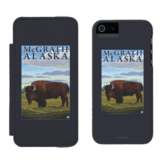 Bison-Szene - McGrath, Alaska Incipio iPhone Geldbeutel-Hülle (Seite an Seite)