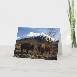 Bison Tet-a-Tet Karte