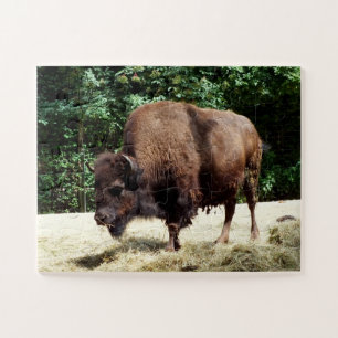 Bison-Tier Puzzle