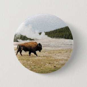 Bison und altes zuverlässiges button