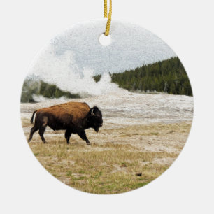 Bison und altes zuverlässiges keramikornament