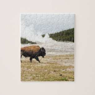 Bison und altes zuverlässiges puzzle