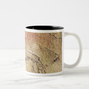 Bison von den Höhlen bei Altamira, c.15000 BC Zweifarbige Tasse