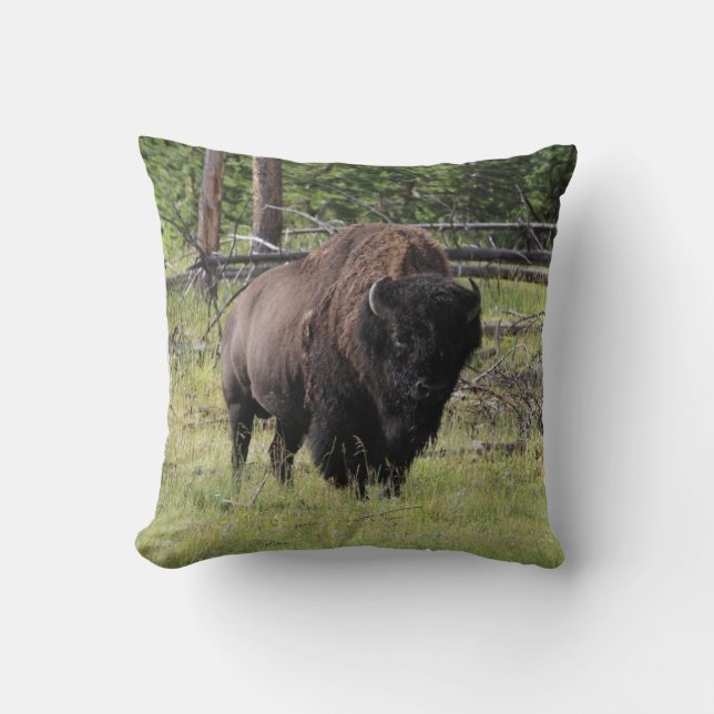 Bison von Yellowstone-Foto Kissen (Vorderseite)