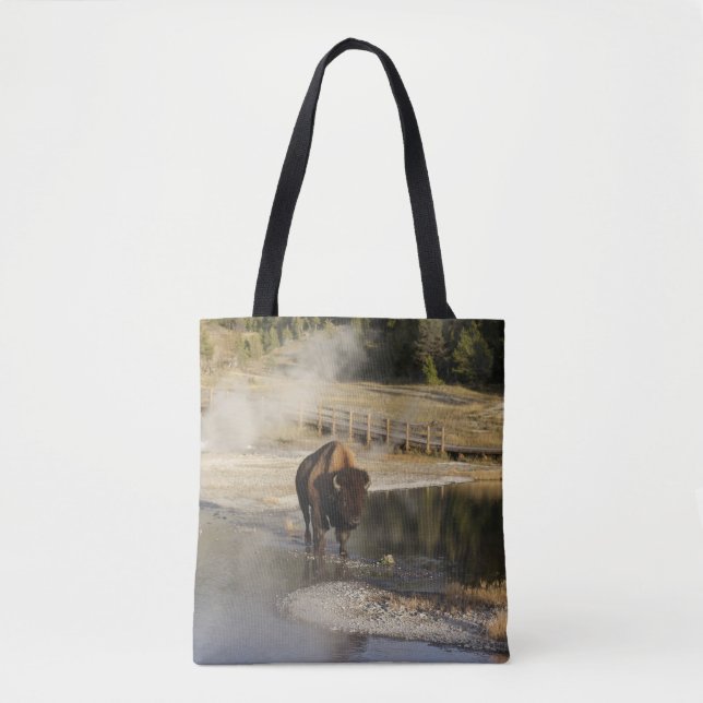 Bison Yellowstone Nature | Naturfotografie (Vorderseite)