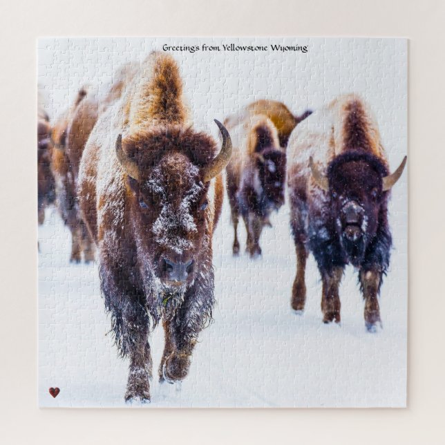 Bison Yellowstone Wyoming Jigsaw Puzzle (Vertikal)