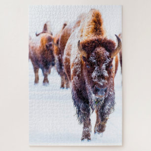 Bison Yellowstone Wyoming. Jigsaw Puzzle