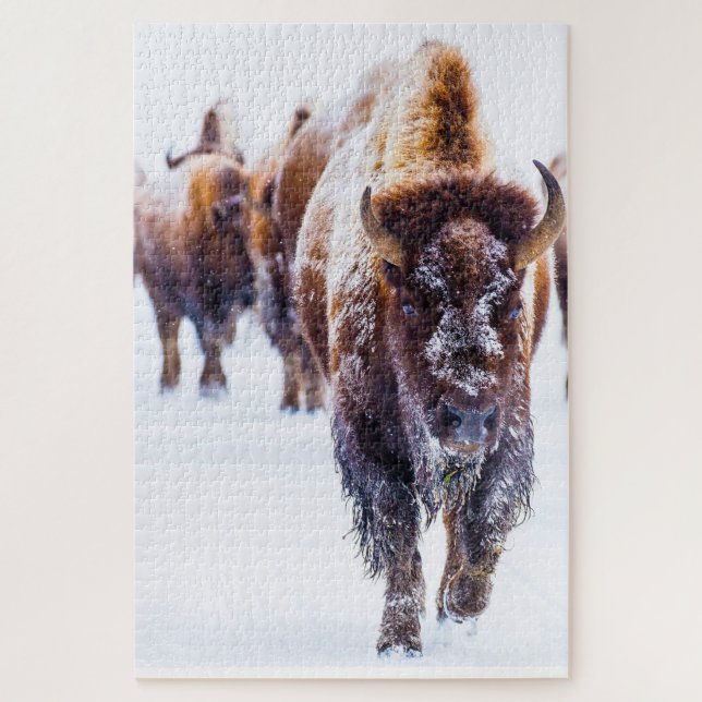 Bison Yellowstone Wyoming. Jigsaw Puzzle (Vertikal)