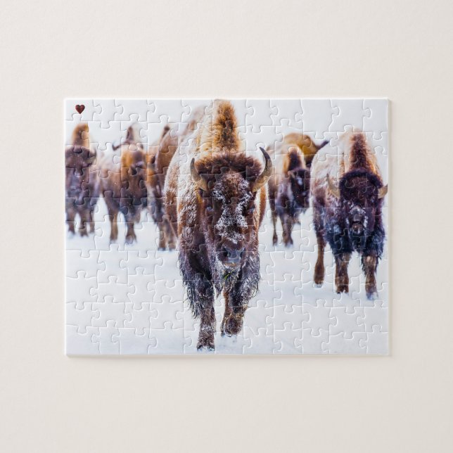 Bison Yellowstone Wyoming Puzzle (Horizontal)