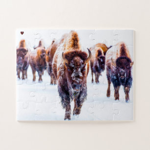 Bison Yellowstone Wyoming Puzzle