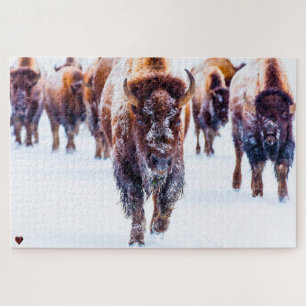 Bison Yellowstone Wyoming Puzzle