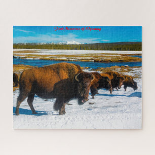 Bison Yellowstone Wyoming. Weihnachtsgrüße Jig Puzzle