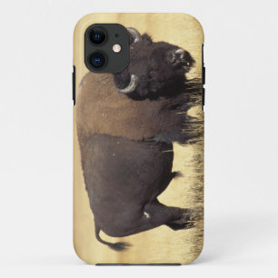 Bisonbulle im Yellowstone National Case-Mate iPhone Hülle