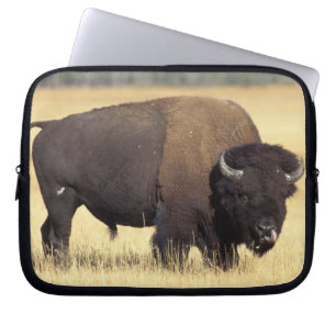 Bisonbulle im Yellowstone National Laptopschutzhülle