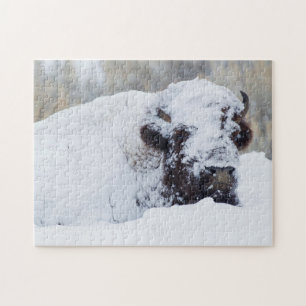 Bisonbulle, Winterfell Puzzle