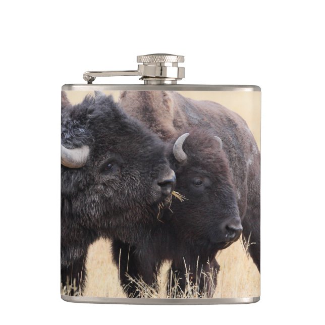 Bisonfreundschaft Flachmann (Vorderseite)