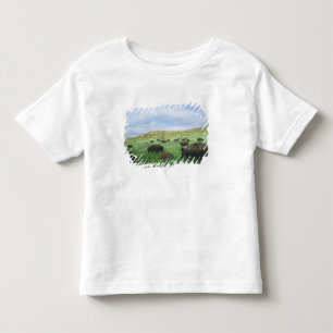 Bisonherde grasen Präriegras bei Theodore Kleinkind T-shirt