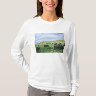 Bisonherde grast Präriegras bei Theodore T-Shirt