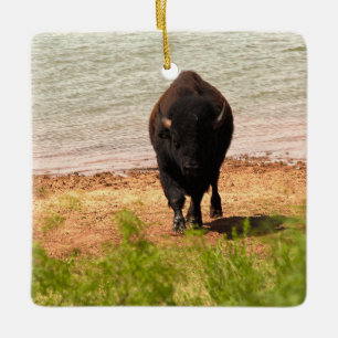 Bisons am Wasser Keramikornament