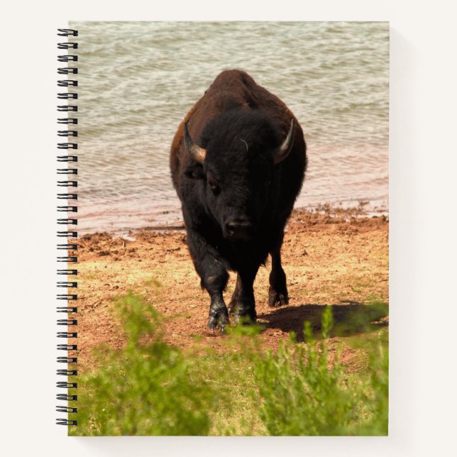 Bisons am Wasser Notizbuch (Vorderseite)
