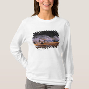 Bisons beim Grasen im Upper Geyser Basin T-Shirt