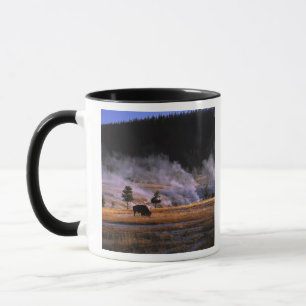 Bisons beim Grasen im Upper Geyser Basin Tasse