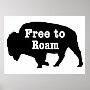 Bisons Frei Zum Streifen Poster