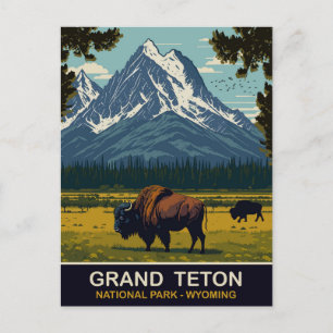 Bisons, Grand Teton Naturpark, Wyoming, Reisen Postkarte
