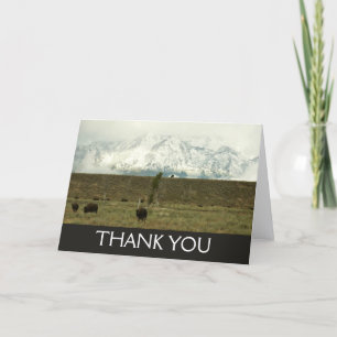 Bisons im Grand Teton National Park Fotografie Dankeskarte