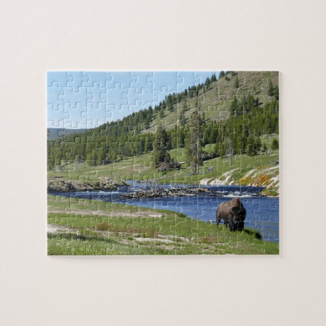 Bisons im Yellowstone-Nationalpark Puzzle (Horizontal)