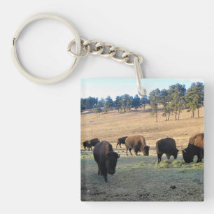 Bisons in Colorado Schlüsselanhänger
