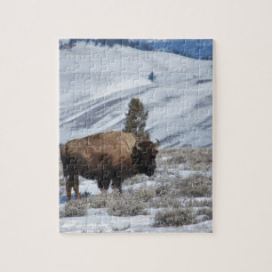 Bisons in den Winterbergen von Yellowstone Puzzle