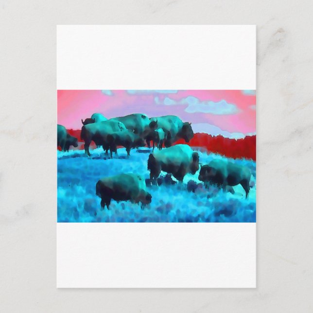 Bisons Postkarte (Vorderseite)