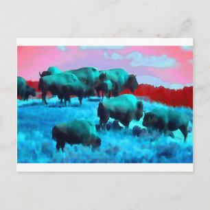 Bisons Postkarte