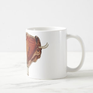 Bisonte ~ Altamira Spanien ~ Höhlen-Zeichnen Tasse