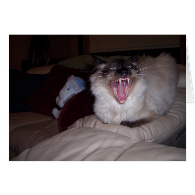 Biss mich! (Vorderseite (Horizontal))