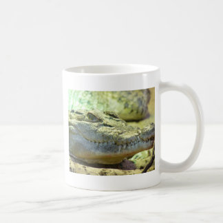 bissig tasse