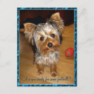 Bist du bereit für Fußball? Postkarte