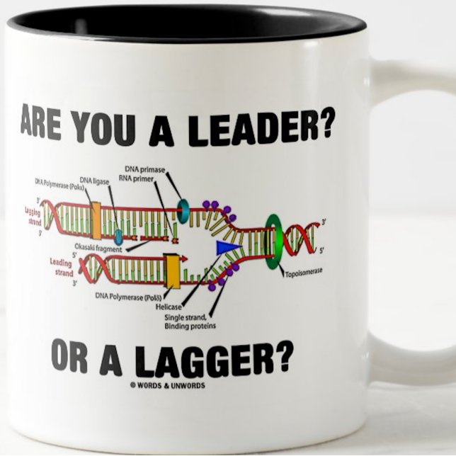 Bist du ein Führer? Oder eine Verzögerung? (DNA-Re Zweifarbige Tasse (Ponderous DNA query for anyone who's reflective of his or her role in life)